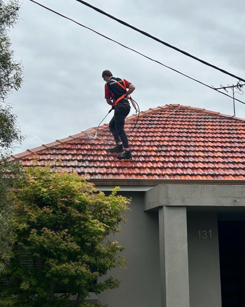 Our professional roof cleaning team